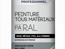 PA RAL SA-HC-FR-GRIS GAL-.400L