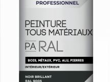 PA RAL BI-HC-FR-NOIR-.400L